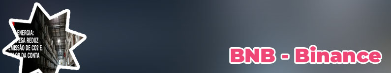 Valor da binance hoje